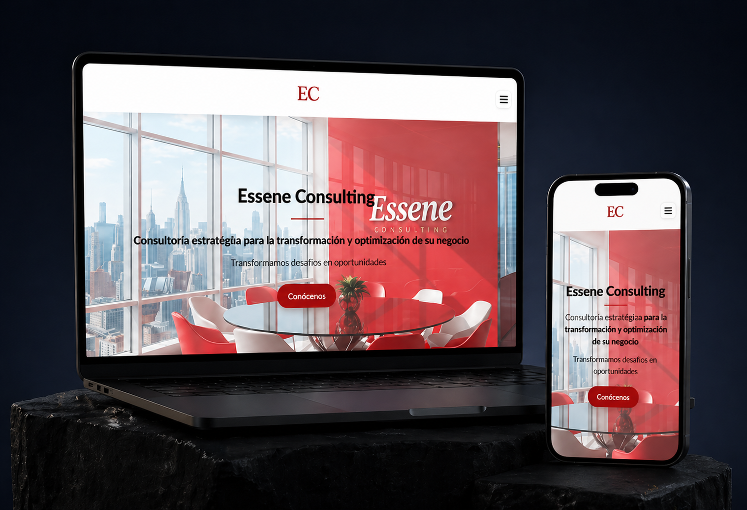 Vista previa del proyecto